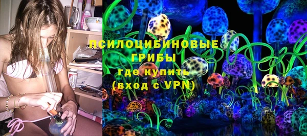 ГАЛЛЮЦИНОГЕННЫЕ ГРИБЫ Абдулино